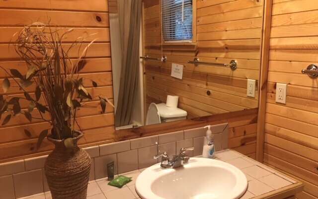 Frio Springs Lodges