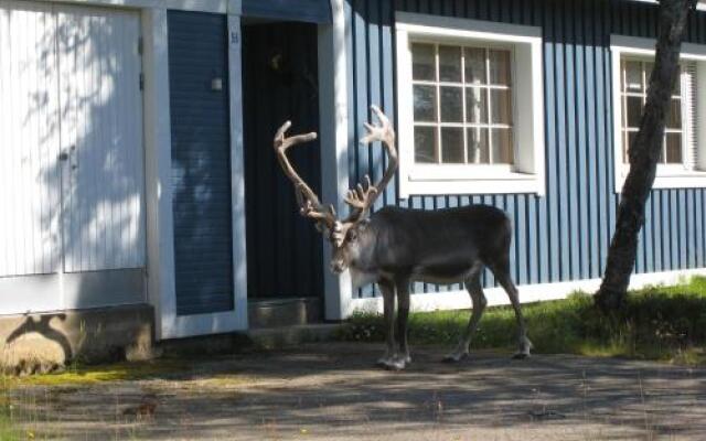Saariselän Marjamajat