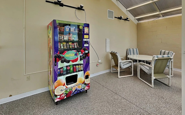 Hardy Party Whispering Pines 554