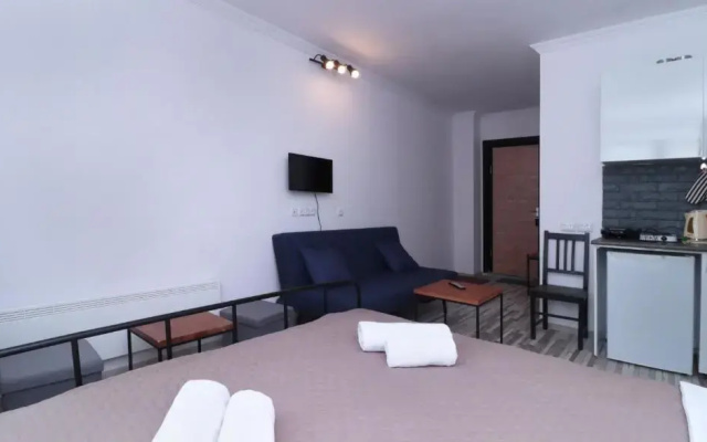Ski In Out Apartment In New Gudauri For 4