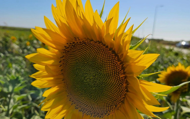 Residencias Ana Carmen