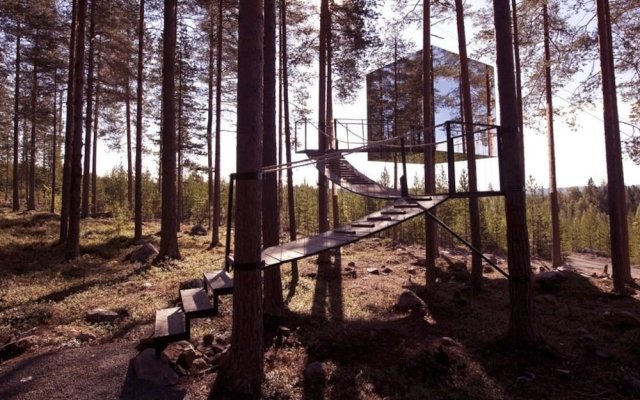 Tree Hotel