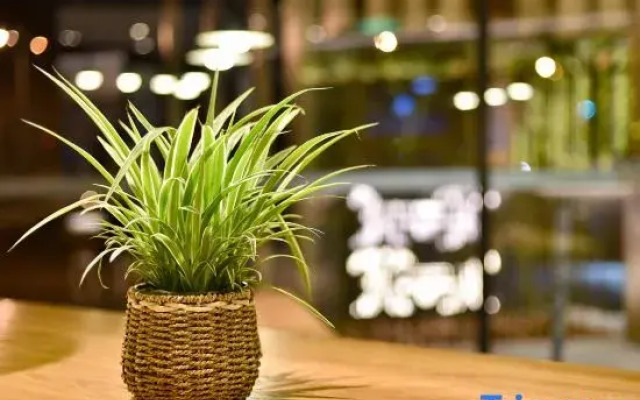 True Go Hotel (Beijing Wangjing Science Park Store)