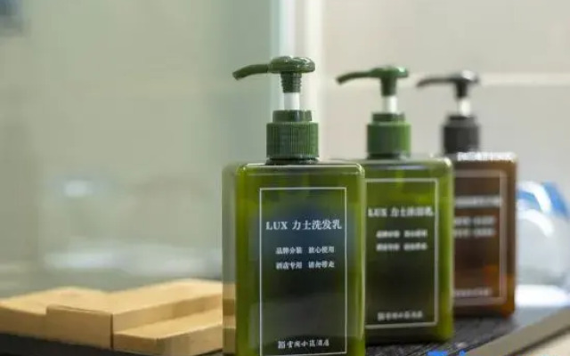 the Villas Hotel (Chongqing North Railway Station)