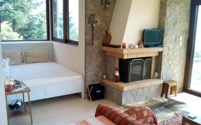 Elatos cozy Studio