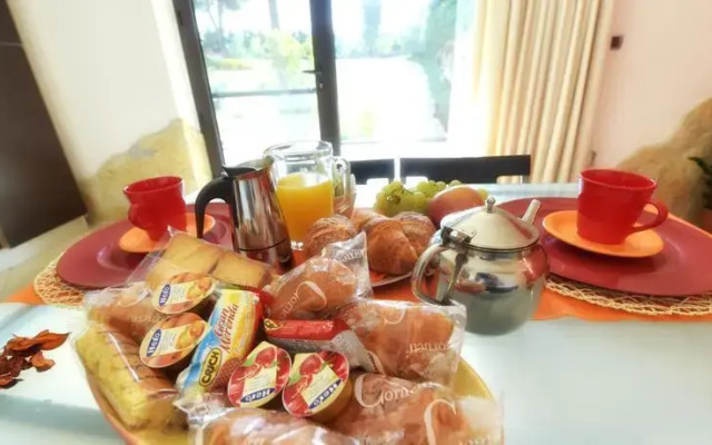 OLYMPUS PARK amnesia