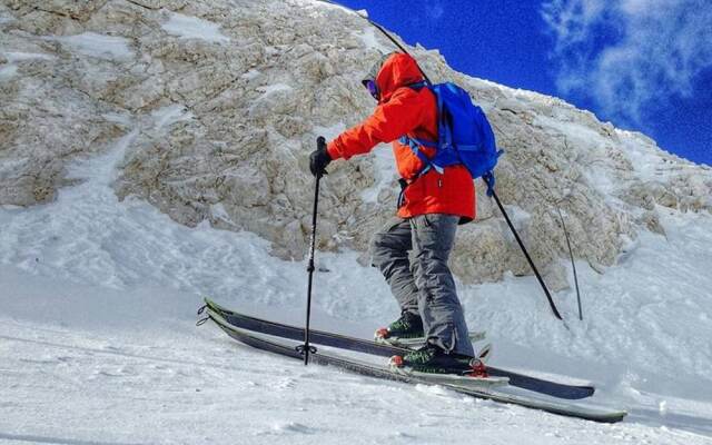 House Planica