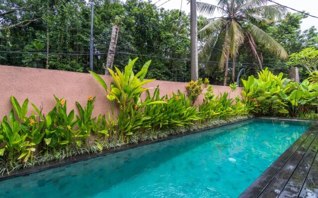 Gekkos Ubud