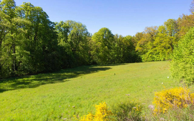 Wonderful Apartment With Great Location