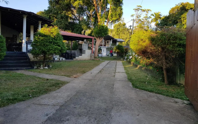 Ella Forest Paradise Hotel