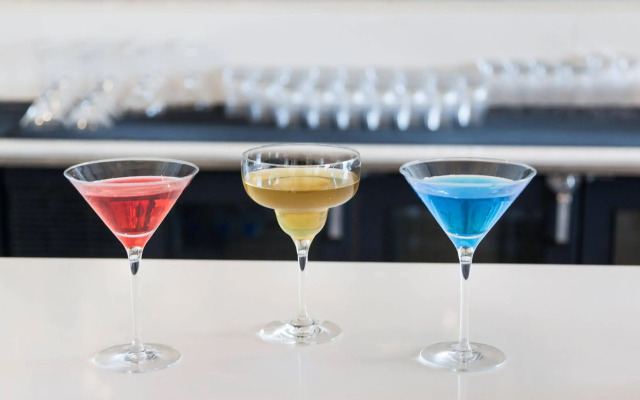 ibis New Delhi Aerocity Hotel