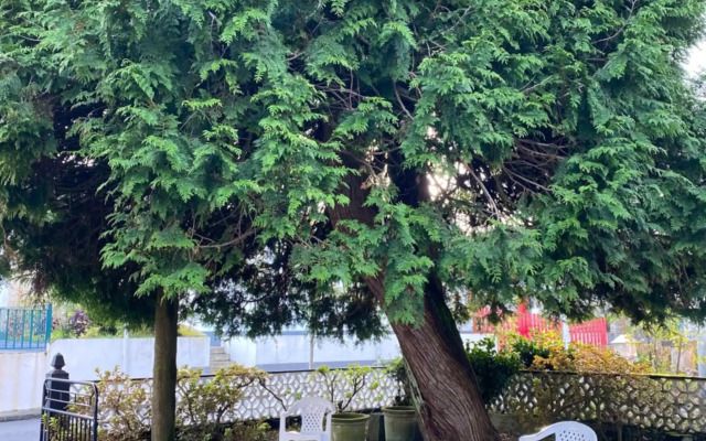 THE CEDAR TREE HOUSE Studio 48