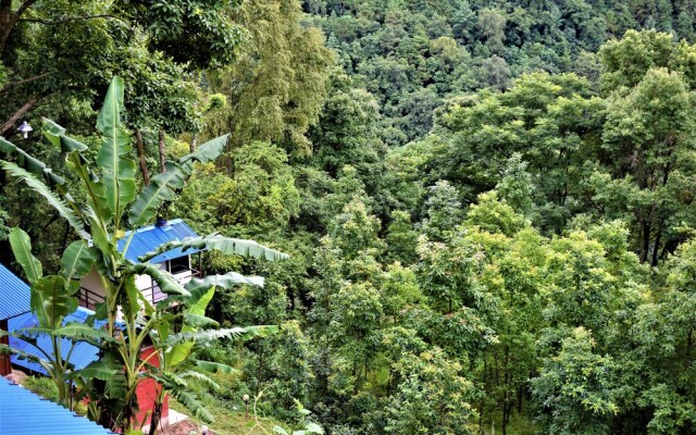 Jungle Crown Organic Homestay