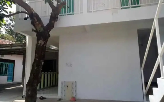 Omahkost Putih Medina 37