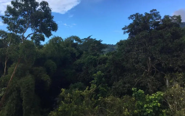 Espectacular apartamento rodeado de la naturaleza