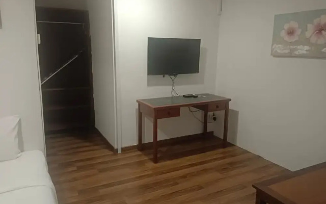 Heliconia by Treebridge