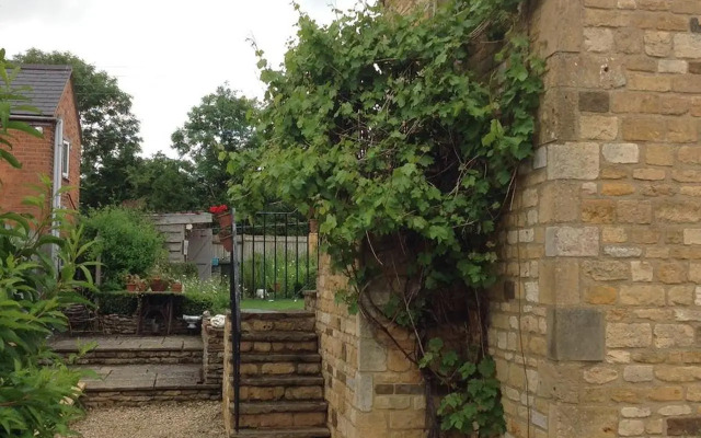 Hops and the Vines