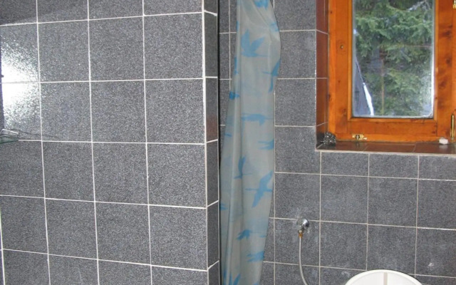 Villa Kostic Kopaonik