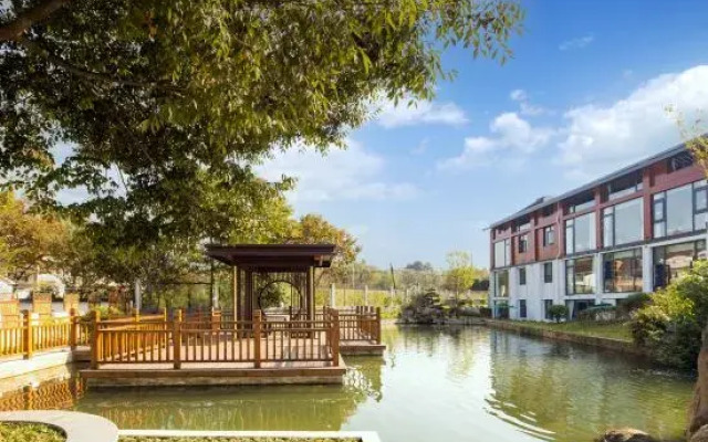 Nanshan Bamboo Sea Ann Diffuse cloud mu homestay