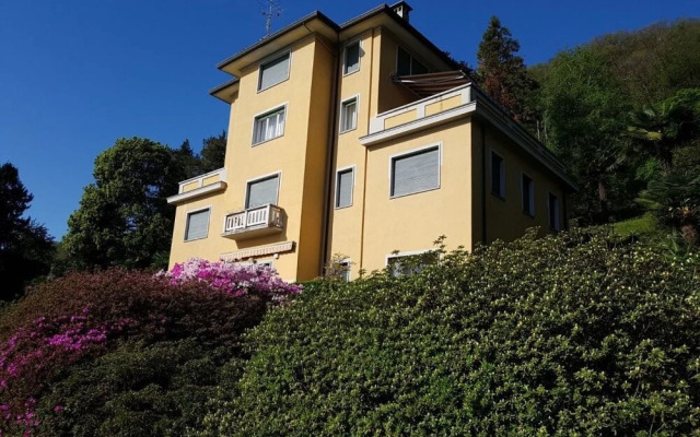 BMP Apartment Camelia