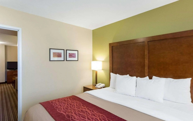 Comfort Inn & Suites Fayetteville - University Area