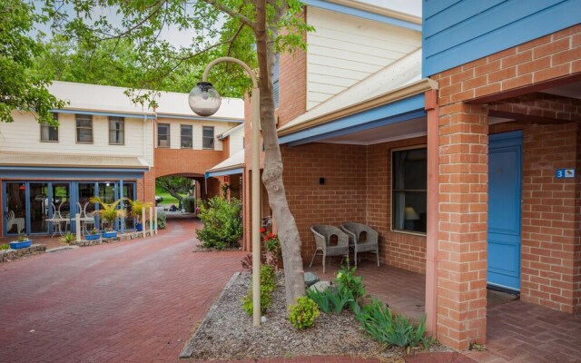 Banksia at Middleton