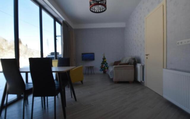 Bakuriani Didveli Residence C 16