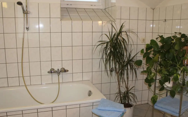 Apartment in Weibig With Garden