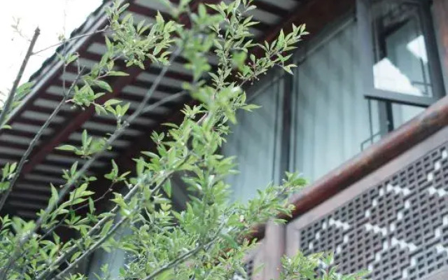 Longli Half Courtyard Homestay