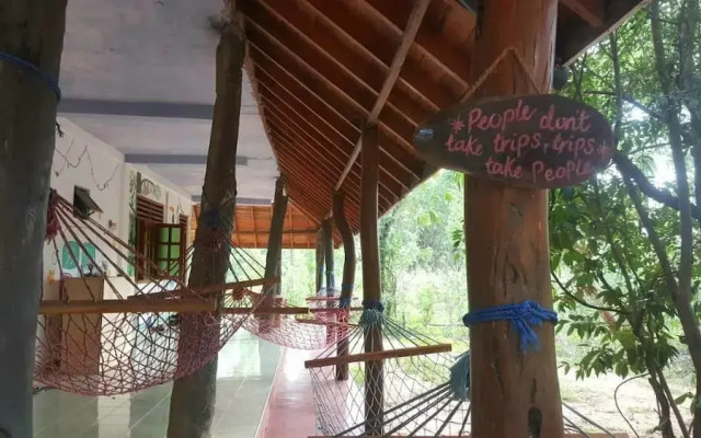 Jungle Vista