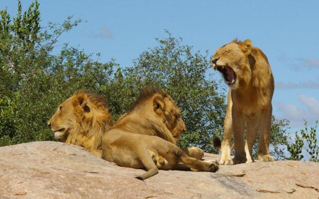 Ingwe Guesthouse