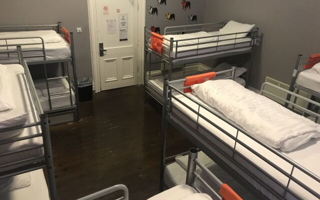 Albatross Hostel