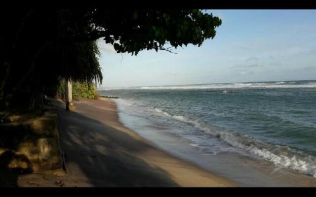 Surf reef guest house