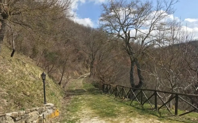 Cannabis Clinic & Restaurant