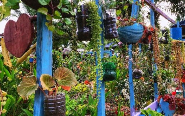 Together Palm Resort