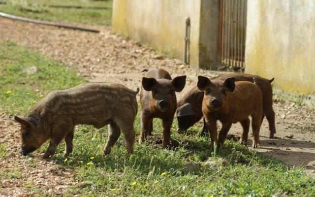 Agriturismo Conca' e Janas