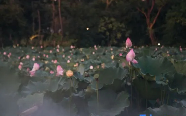 Weihan Resort At Xixi Wetland