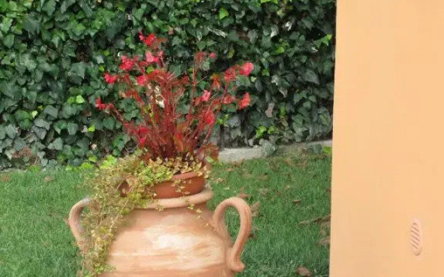 La Casetta Arancione