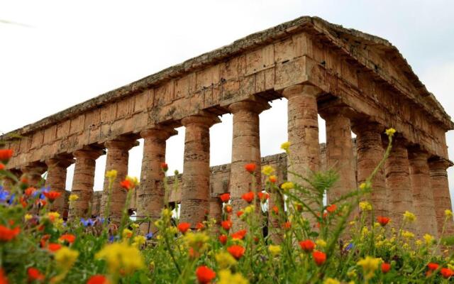 Casetta sull'Albero, Girasole