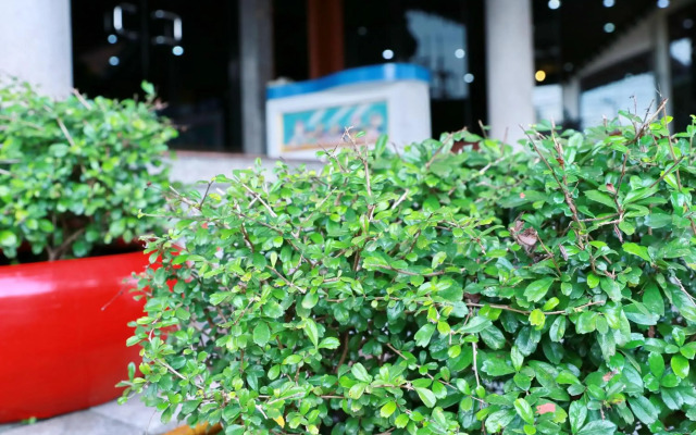 Krabi Royal Hotel