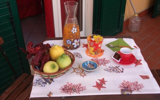 B&B Miroca