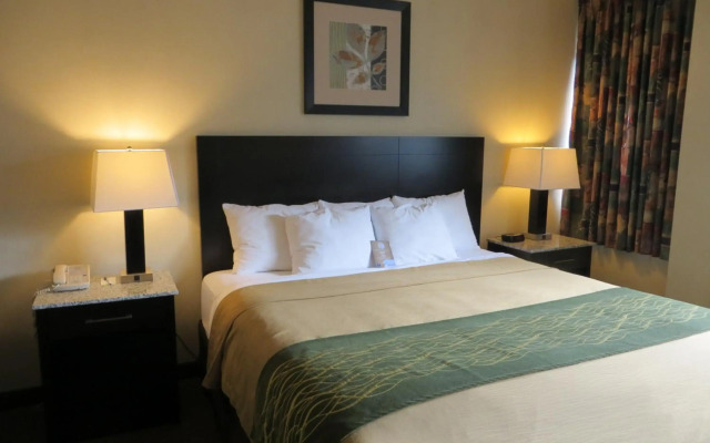 Comfort Inn & Suites Downtown Edmonton