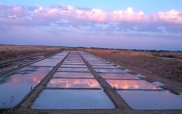 Chambre d'hôtes Caline