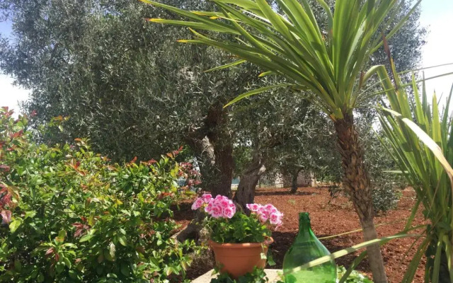 Il Trullo di Nonno Angelo San Marco