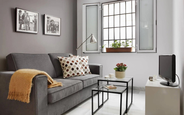 Apartamentos Mariscal