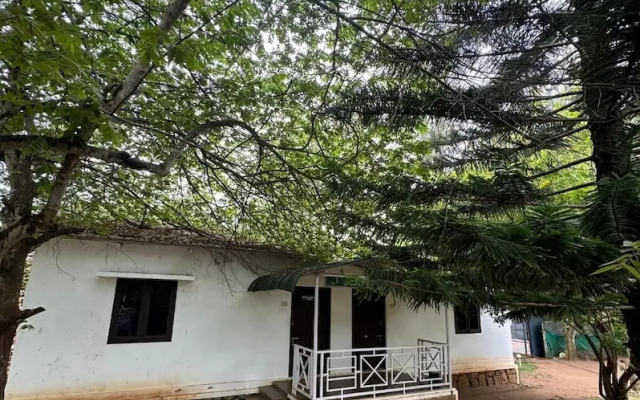 The Big Cat's Den - Maravakandy Resort