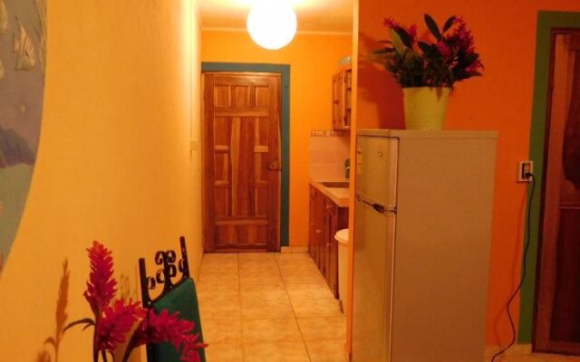 Petra's Calle 8