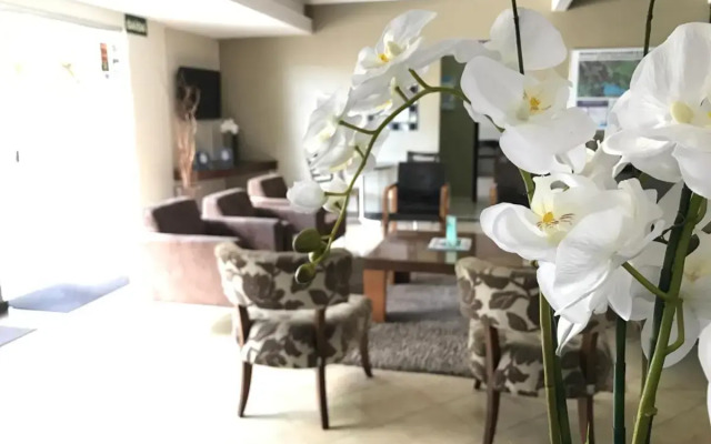 Hotel Mohallem