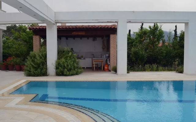 Olive Mansion Suites