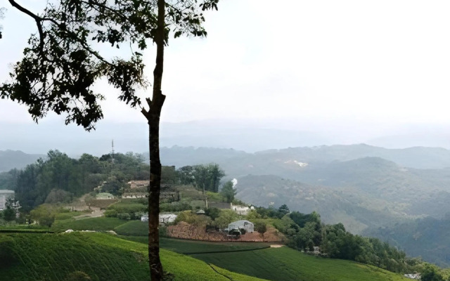 Munnar Estate Residency